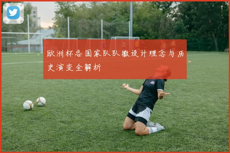 欧洲杯各国家队队徽设计理念与历史演变全解析