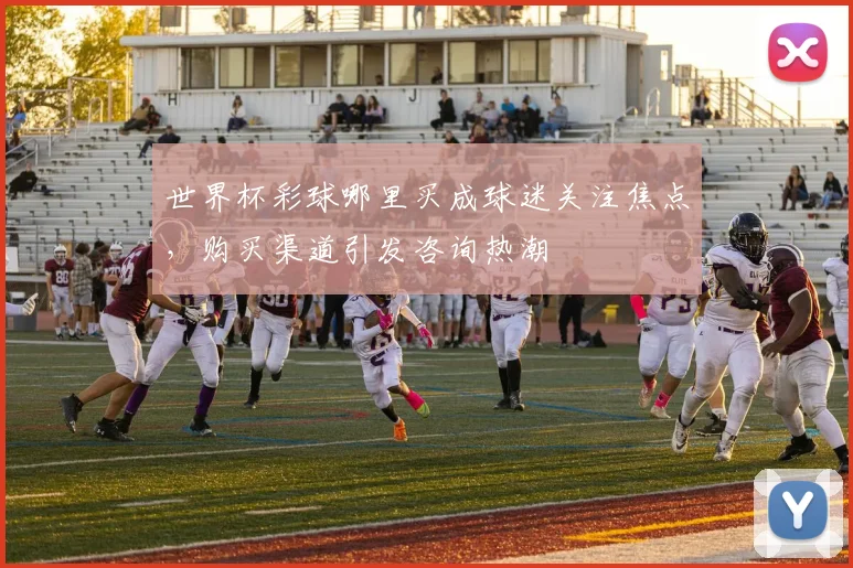 世界杯彩球哪里买成球迷关注焦点，购买渠道引发咨询热潮