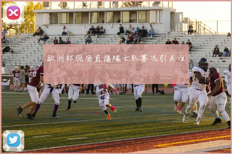 欧洲杯现场直播瑞士队赛况引关注